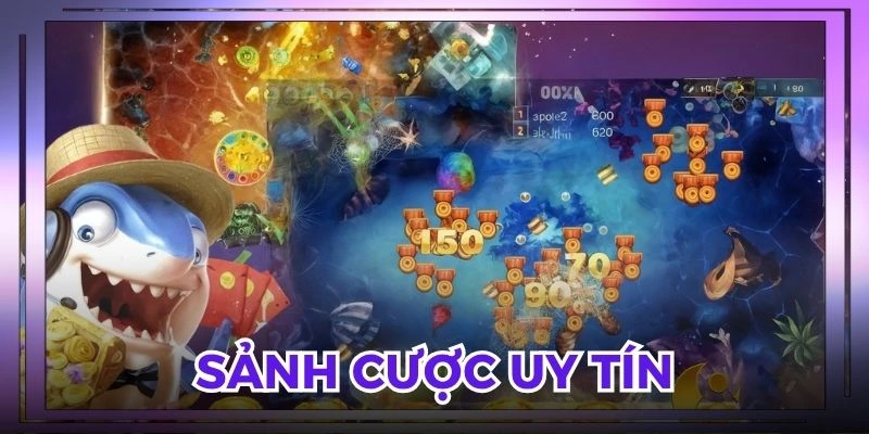 Đa dạng các sảnh cược để thành viên trải nghiệm