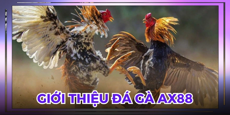 Khách hàng đánh giá cao khi trải nghiệm