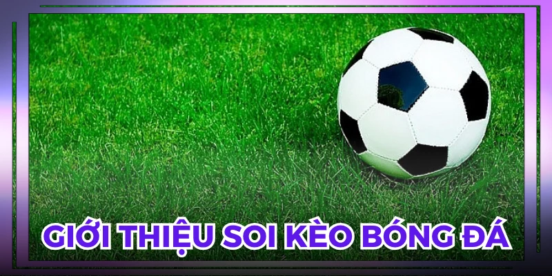 Soi kèo bóng đá hôm nay trước khi xuống tiền