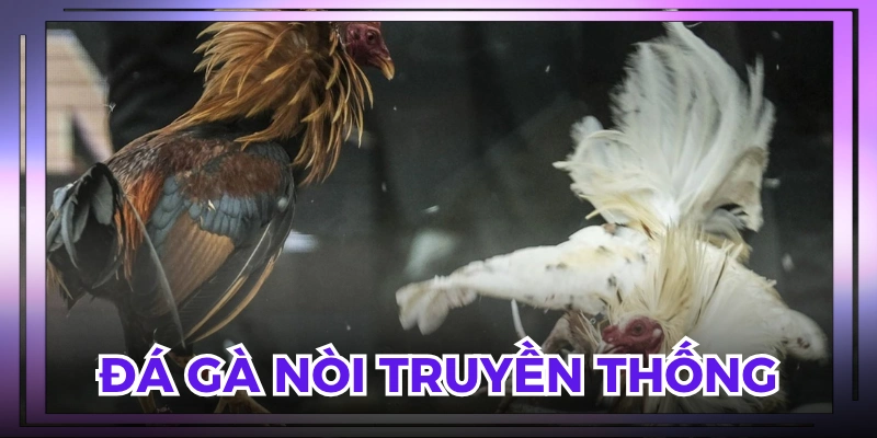 Trận đá gà miền Tây này chủ yếu về sức bền